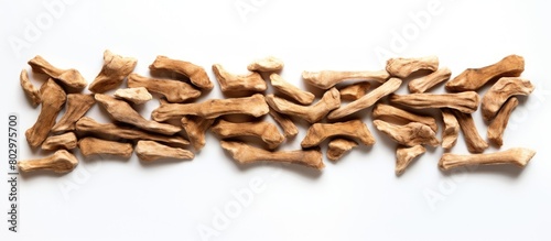 A bone shaped dry dog food ...