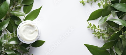 A copy space image featuring white tubes of natural cosmetic products adorned with green leaves allowing for labeling It includes face and body skincare items such as moisturizing cream and purifying photo