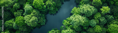 forest through which a river flows, concept for the conservation of nature through environmental protection, created with generative AI technology