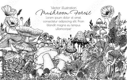 Vector frame with forest plants. Mushrooms, flowers, berries. Fly agaric, porcini mushroom, honey mushrooms, oyster mushrooms, poppies, violets, cloudberries