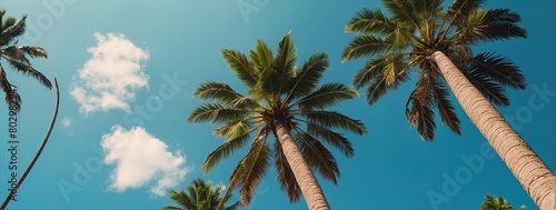 Looking up at blue sky and palm trees  view from below  vintage style  tropical beach and summer background  travel concept