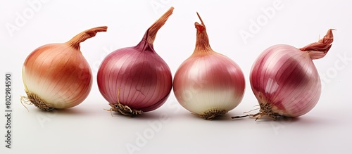 A copy space image of onion...