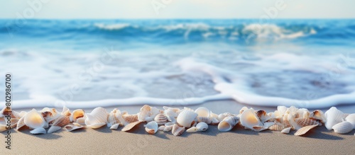 A copy space image of shell...