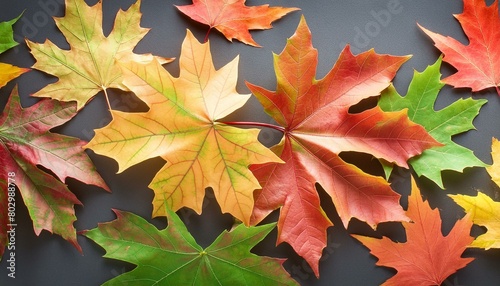 Autumn maple leaves pattern background