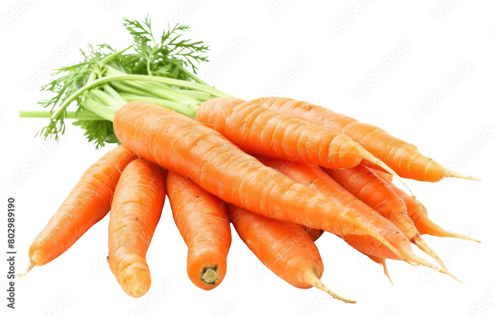 PNG Carrots carrot invertebrate vegetable. PNG Carrots carrot invertebrate vegetable.