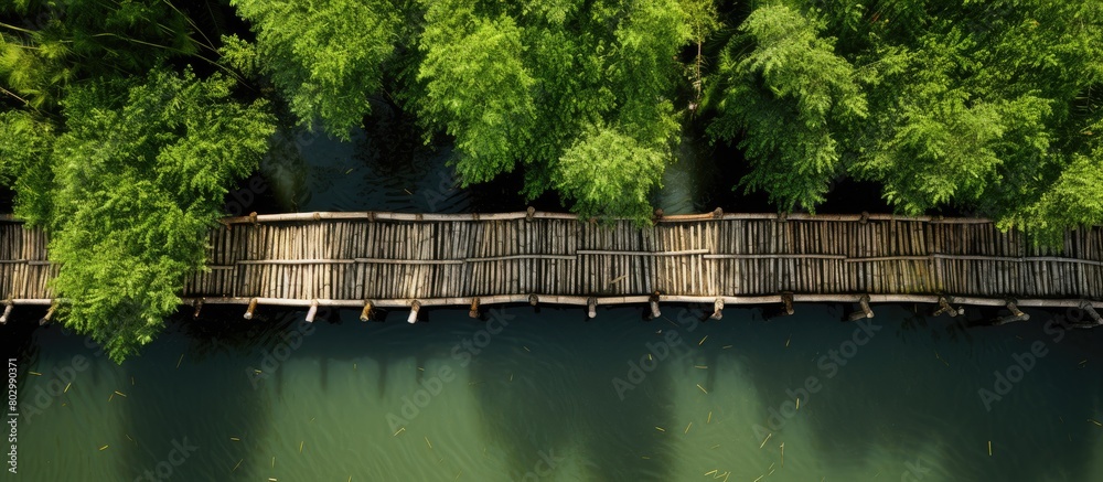 A copy space image showcasing a bamboo bridge on a canal as seen from a top down perspective A copy space image showcasing a bamboo bridge on a canal as seen from a top down perspective