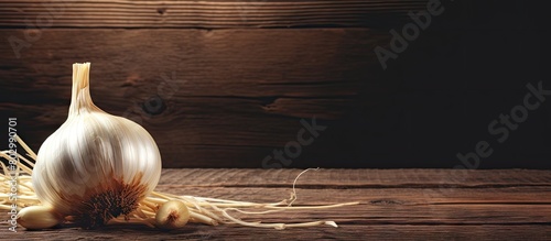 A copy space image of a fresh garlic bulb with a long stalk placed on a wooden table photo