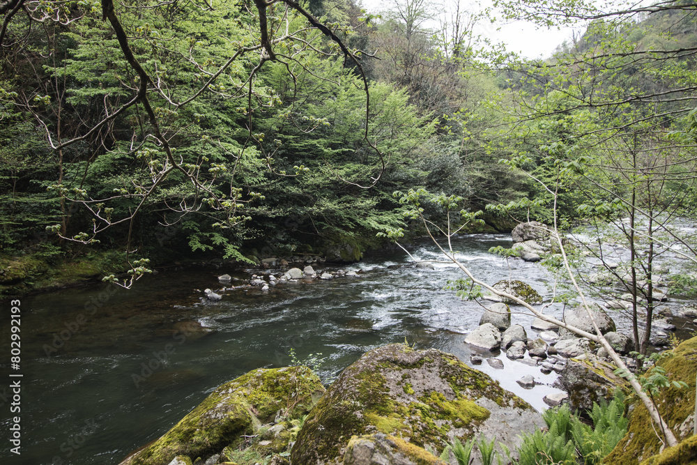 Obraz premium Chakvistskali river in Adjara, Georgia