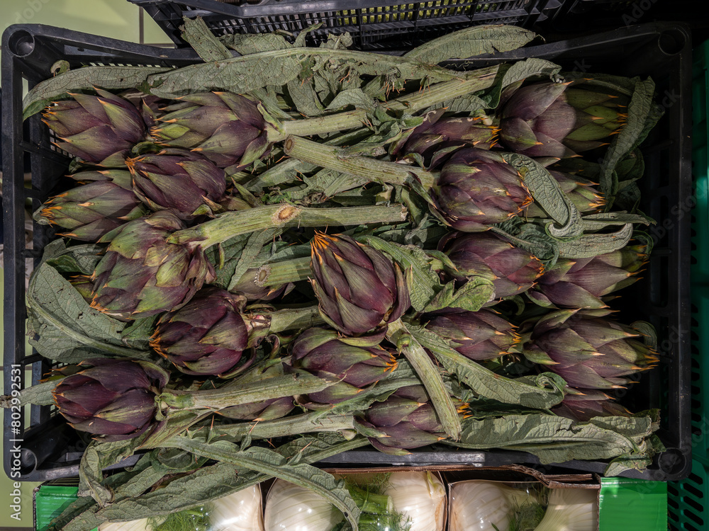 Artichokes in a box on a greengrocer stall Artichokes in a box on a greengrocer stall