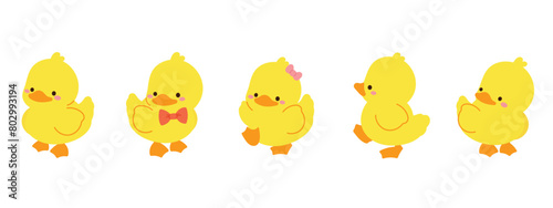 Cute Animal Duck characters set. Hand drawn farm animal cartoon design of yellow duck, duckling, chick in different pose. Adorable baby duck illustration for sticker, clipart, education.