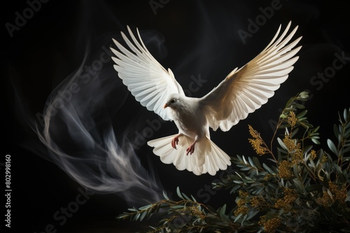 White dove or pigeon with olive branches and smoke