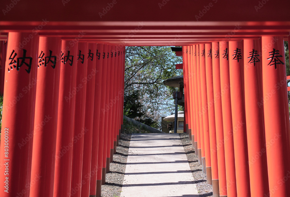 Fototapeta premium 小樽市にある住吉神社の鳥居 / Torii gate of Sumiyoshi Shrine in Otaru City
