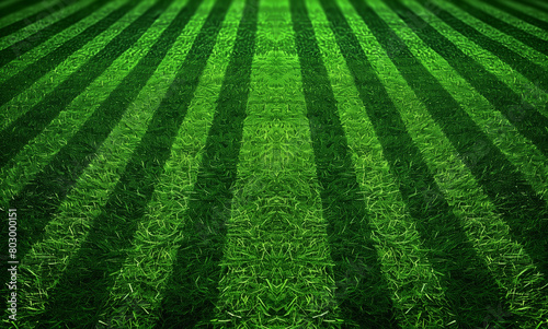 A green grass field is illuminated by the setting sun, casting a long shadow across the ground. The elongated shadow extends towards the horizon, creating a stark contrast against the lush grass.