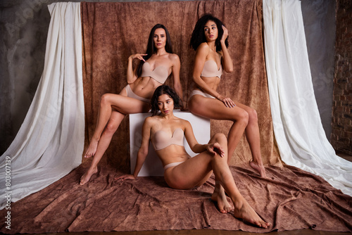 Studio photo of no retouche three ladies in lingerie promoting body positive lifestyle isolated on brown background