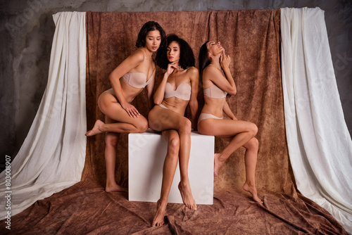 Studio photo of three young gorgeous pretty women aesthetic models in lingerie isolated on brown textile background
