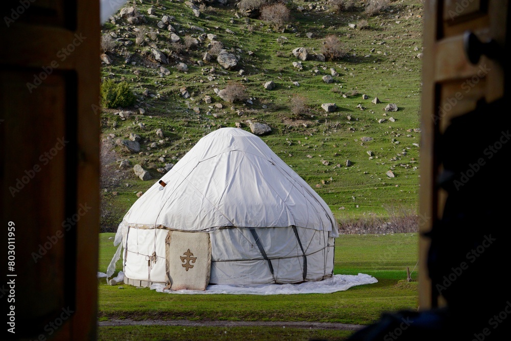 Nomads' yurt camp in a green field on a summer day