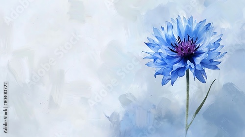 Bring to life the simplicity of a blue bachelors button flower against a soft watercolor backgroundWater color,  hand drawing photo