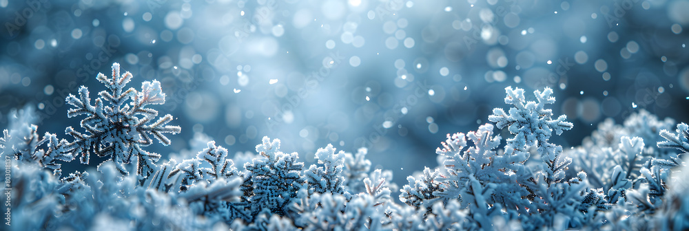Winter Wonderland: Snowflakes on Canvas Background Winter Wonderland: Snowflakes on Canvas Background