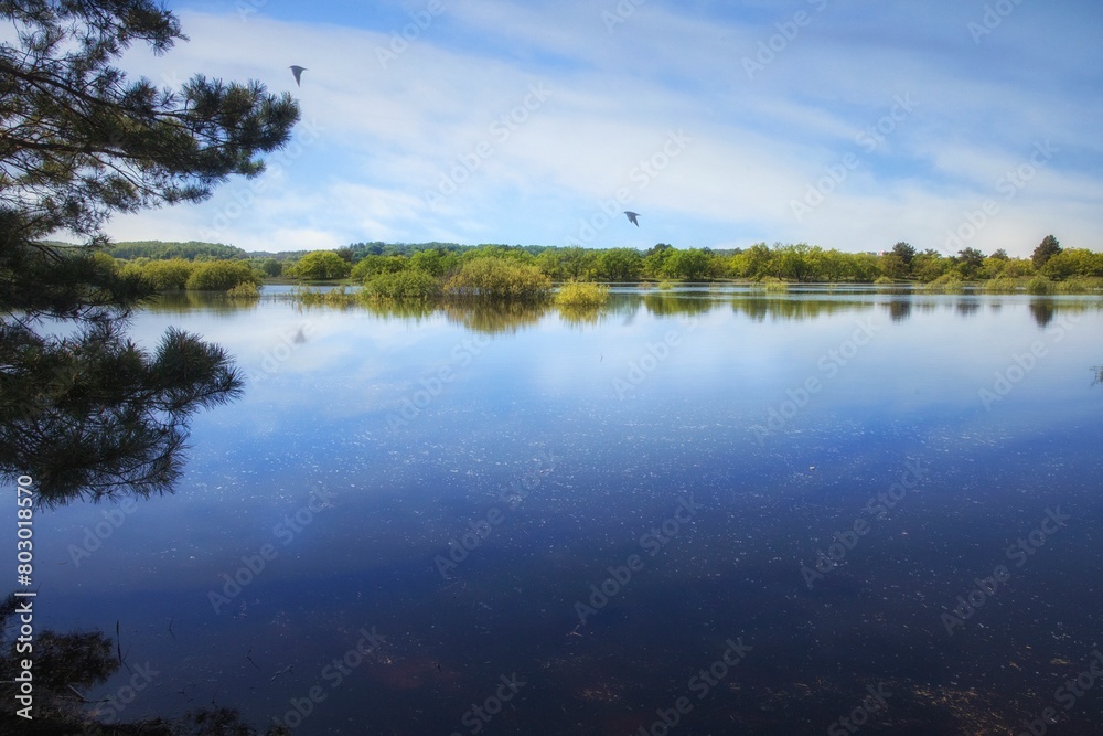 Spring landscape with river flood Spring landscape with river flood