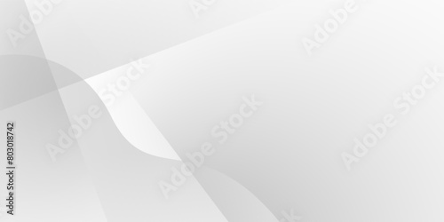 Abstract white and gray line shadow shape background. texture white pattern. vector illustration	