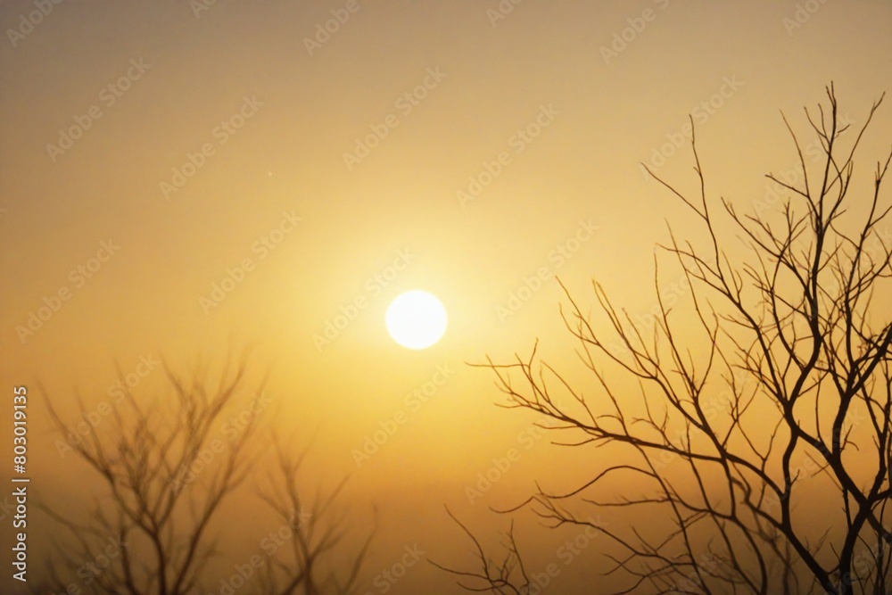 Obraz premium sunset over the lake