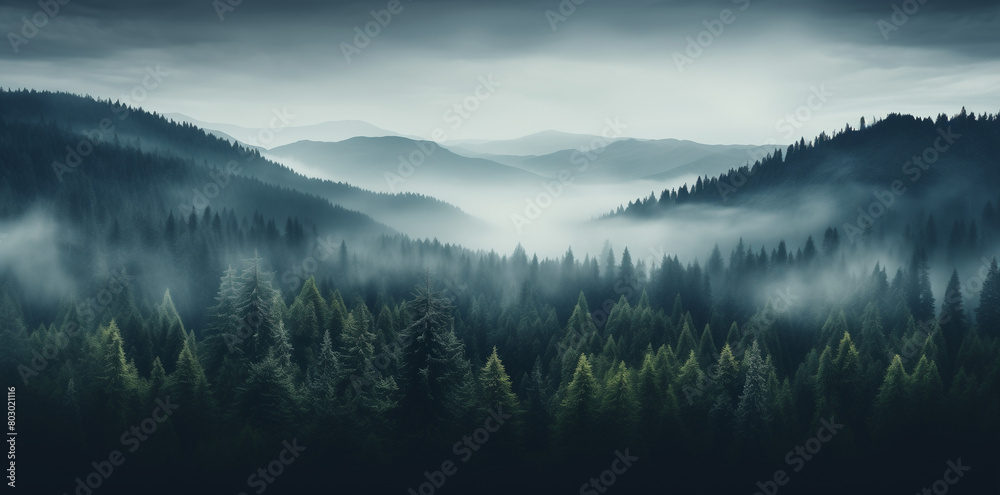 A panoramic view of misty mountains with dense pine forests creates an ethereal and mysterious atmosphere. The composition is centered around the trees to emphasize their scale in nature's grandeur.