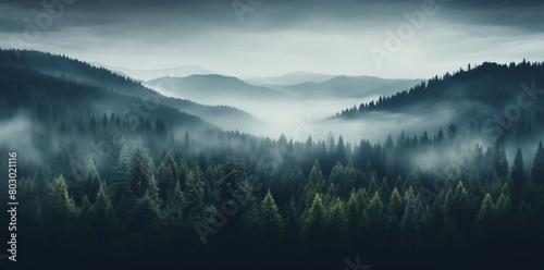 A panoramic view of misty mountains with dense pine forests creates an ethereal and mysterious atmosphere. The composition is centered around the trees to emphasize their scale in nature's grandeur. photo