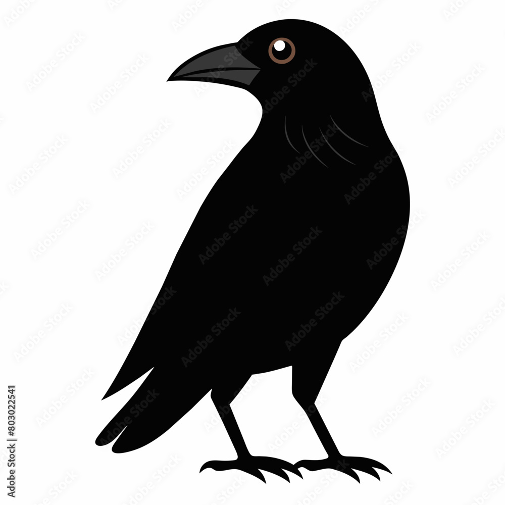 Fototapeta premium crow silhouette vector art