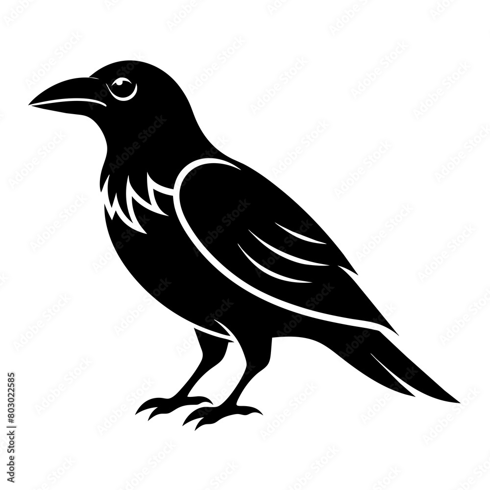 Obraz premium crow on a white background
