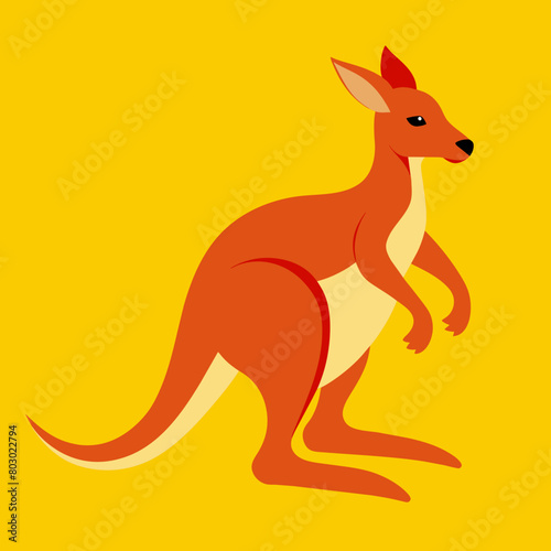 kangaroo in the grass