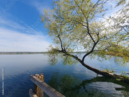 Landschaft am greifensee. Der Greifensee ist ein östlich des nördlichen Zürichsees liegender See in der Schweiz. Die Ufer des Greifensees sind geschützt.