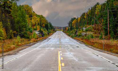 Fall colours after rain along Highway 60 in Algonquin Park, Canada