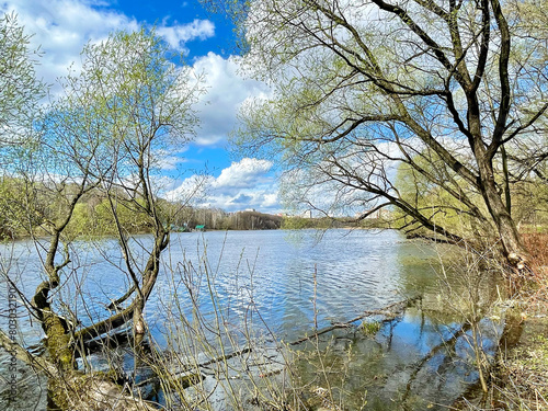 Beautiful spring landscape. Trees on the banks of the Pekhorka River in Balashikha