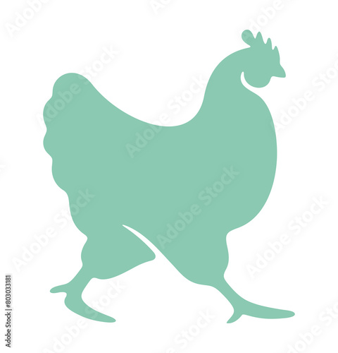Chicken and hen  fowl  bird and animal. Fowl-run  poultry yard  henhouse and hennery  illustration