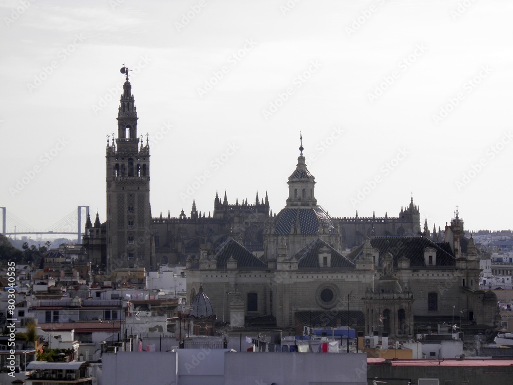 Fototapeta premium edificio