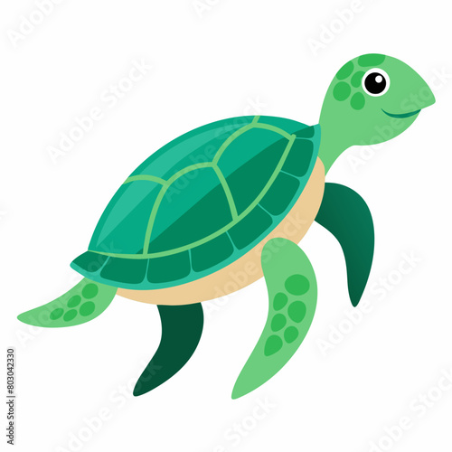 Sea Turtle Vector art illustration (12)