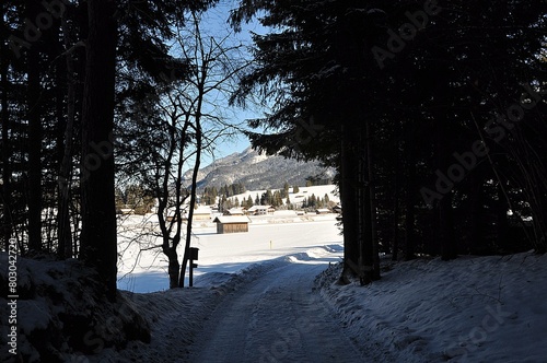 Buckelwiesen Mittenwald