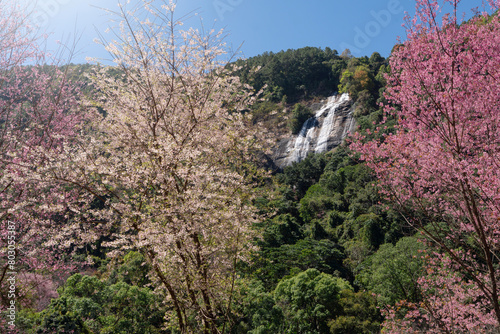 Siriphum waterfall at Inthanon national park in Chiang Mai, Thailand. photo