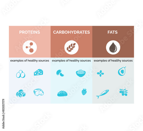 logo on the theme of healthy food with proteins, fats and carbohydrates.