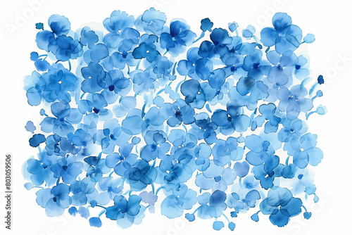 青い花の水彩イラスト、ネモフィラ