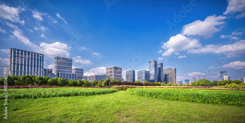 Urban Green Belt with a Backdrop of Corporate Skyscrapers