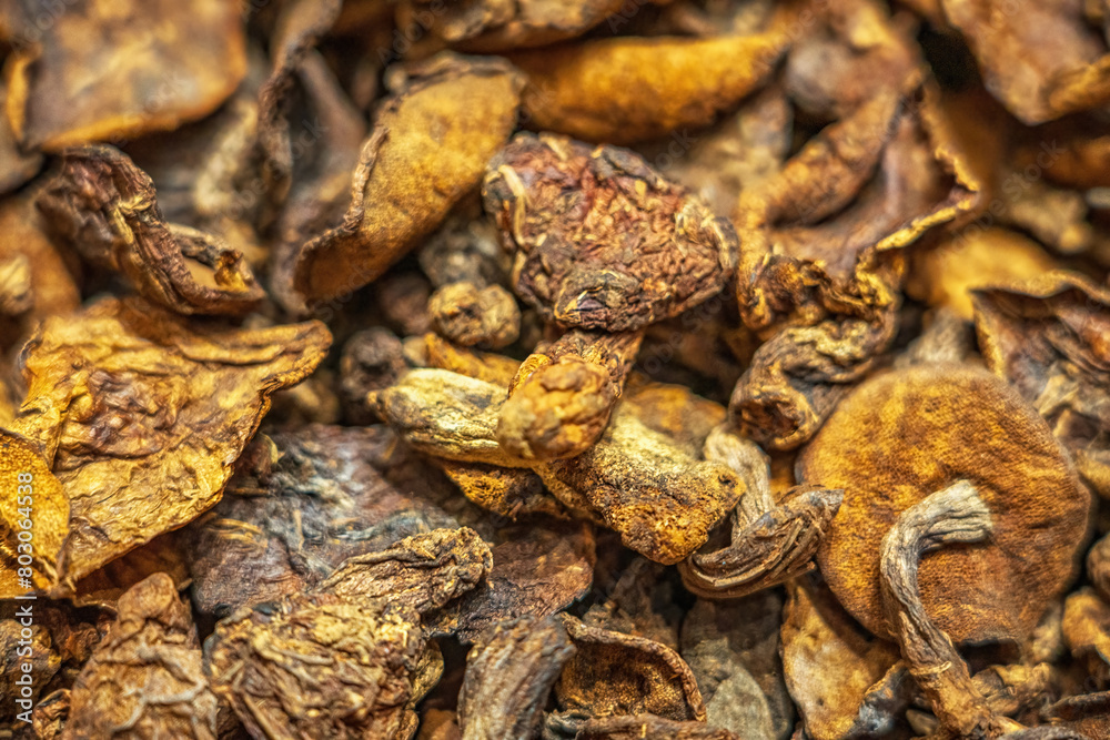 Close-Up of Dried Wild Mushroom Texture Close-Up of Dried Wild Mushroom Texture