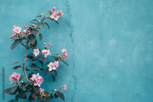 A solid color background in a specific hue (e.g., deep blue, soft pink) to create a minimalist aesthetic
