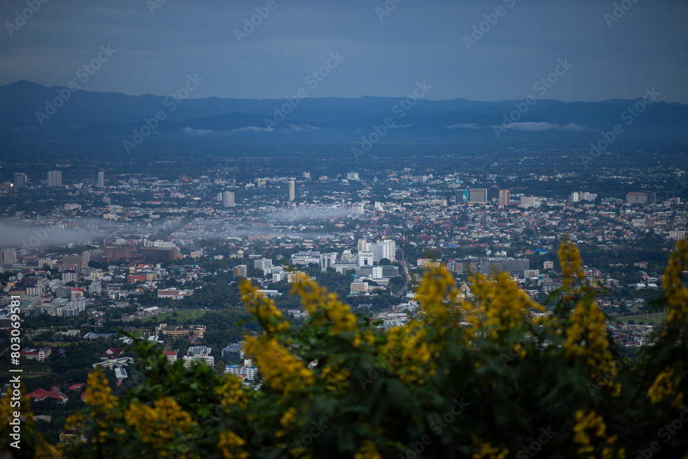 High-angle view of the city There are yellow flowers in the foreground. Many buildings in Chiang Mai, Thailand