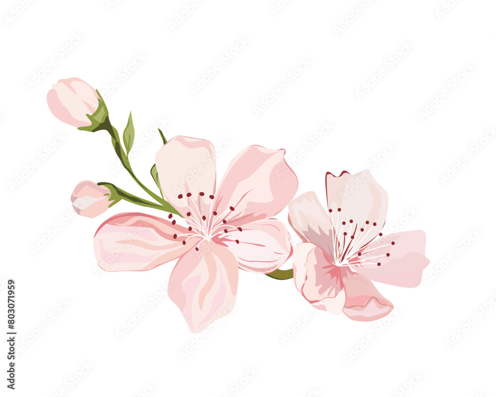 Fototapeta premium decorative sakura blossoms flowers of retro vintage style butterflies. Vector illustration design for fashion, tee, t shirt, print, poster, graphic, background.