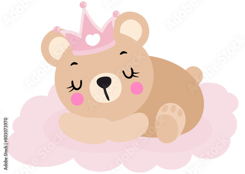 Cute baby teddy bear princess sleeping