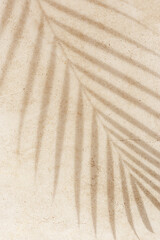Natural palm leaf shadow on light beige sandy color background with empty space. Summer minimal concept, daylight in sunny day, top view plant shade, nature environment pattern, neutral color