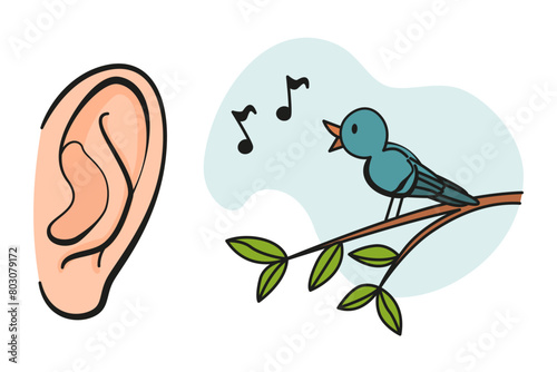 Cartoon sensory organ icon. Ear. Human senses education concept. Vector illustration isolated on white background