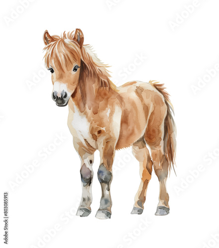 horse pony watercolor digital painting good quality