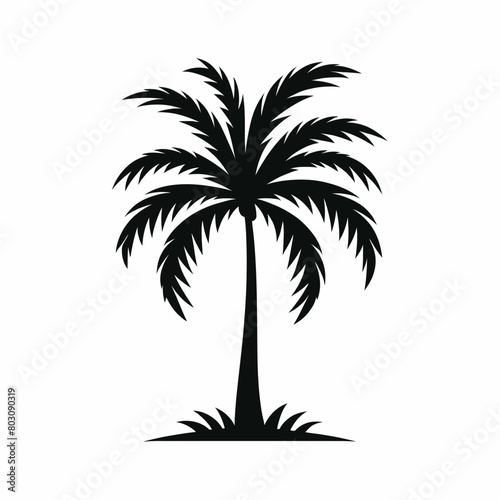 palm tree silhouette vector illustration white background © sahenur89